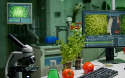 Cutting-Edge in Stem Supply: How AI, Biotech & Sustainability Are Transforming Floriculture