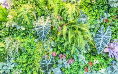 Biophilic Backdrops: Using Living Walls & Green Installations in Event Spaces